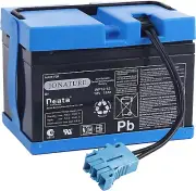 JONATURE 12 Volt 12Ah Battery for Peg Perego Polaris Slingshot Polaris RZR 900
