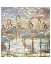 Empire Art Direct Flamingo Flair Frameless Free Floating Tempered Glass Panel Graphic Wall Art
