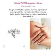 Paparazzi Totally TWEET-terpated Silver Ring NIP