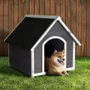 Pet Dog Kennel Weatherproof Puppy House UV Resistant Asphalt Roof Rubber Feet