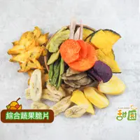 在飛比找蝦皮商城優惠-【甜園】綜合蔬菜脆片系列 (小包裝) 蔬果脆片系列 蔬菜脆片