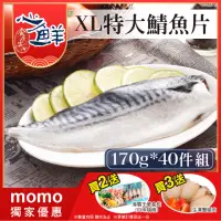 在飛比找momo購物網優惠-【心鮮】老饕最愛挪威鯖魚片40件組(170g-200g/片)