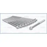 Austral Cylinder Head Bolt Set - 81004800