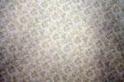 LIGHT BROWN LEAF CLUSTERS ON OFF WHITE - 100% COTTON FABRIC