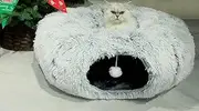 Cat Tunnel Bed for Indoor Cats, collapsible Cat cave tube with Toy Ball and Fluffy Washable Mat,Multifunctional Cat toys and Peepholes for Cat Kitten Rabbit Puppy,Ferret (Greywhite)