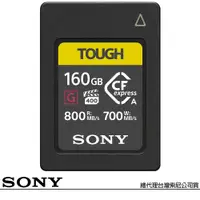 在飛比找PChome24h購物優惠-SONY 索尼 CEA-G160T 160G 160GB 8