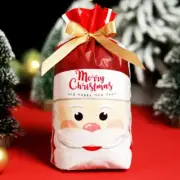 20 Christmas Gift Bags Drawstring Wrap Present Party Treat Bags Storage