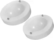 Anneome 2pcs Science Touch-Sensitive Conductive Ball: Physics Lab Equipment Teaching Aid for Electricity and Magnetism - Easy-to-use Science Ball