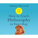 HOW TO TEACH PHILOSOPHY TO YOUR DOG: EXPLORING THE BIG QUESTIONS IN LIFE