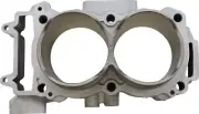 Moose Replacement Cylinder Polaris RZR XP Turbo S/RZR XP Turbo