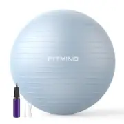 FITMIND Extra Thick Exercise Ball 65cm Yoga Ball for Workout Pregnancy Stability