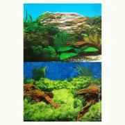 Aqua One Background Age Old Wood & Plant w/White Stone 48cm