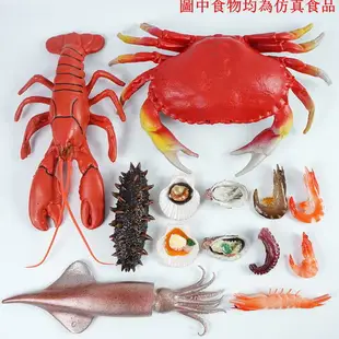 仿真螃蟹假龍蝦海參生蠔魷魚大閘蟹大號海鮮模型道具玩具教具硅膠