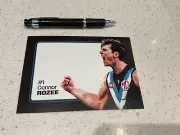 AFL PORT ADELAIDE POWER FOOTBALL OFFICIAL CHAMPION TEAM PLAYER POST CARD,1