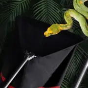 Snake Catcher Net for Safe Transporting Capturing All Kinds of Snake
