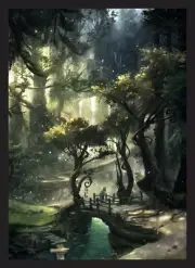50 MTG Standard Card Sleeves to Protect your Deck - Forest Journey