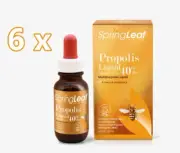 6 x Spring Leaf Propolis Liquid (Alcohol free) 40% 25ml SpringLeaf 150ml Drops