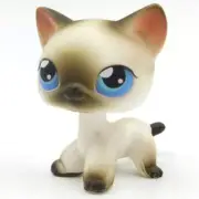 #5 Mini Pet Shop Toys Blue Eyes Short Hair Siamese Cat Figures Rare LPS Grey