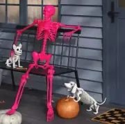 60" Posable Skeleton Halloween Decorative Prop Pink - Hyde & EEK! Boutique™