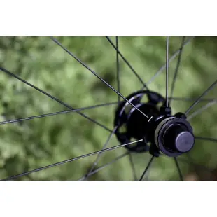 Fulcrum Racing Quattro Carbon DB disc 碟煞公路車 碳纖維輪組