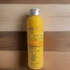 The Powder Foam Wash Lemongrass Tumeric and Ginger 100g