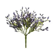 Purple Array Astilbe Bush
