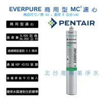 在飛比找蝦皮購物優惠-EVERPURE 無超商取貨付款 MC MC2 濾心 美國原