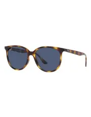 [Ray-Ban] RB4378 Tortoise Sunglasses in Brown