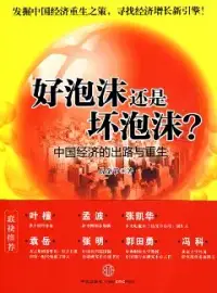 在飛比找博客來優惠-好泡沫還是壞泡沫?中國經濟的出路與重生