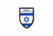 PATCH PATCHES EMBLEM IRON ON GLUE PRINT FLAG world crest israel