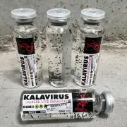 Army Of The 12 Monkeys KALAVIRUS Vial Funny Man Cave Movie Prop Decor 90s Sci Fi