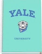 DOHE Yale University Dog A4 Squared Notebook - 100 Sheets 90gsm Paper Thickness Size 22.8 x 30 cm Hard Cover Ring Binding 5mm Chart School Supplies