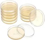 DINHEAROM Professional 10-Pack Petri Dish Agar Plates 7cm Fresh Agar for Fast Growth for Lab Experiments