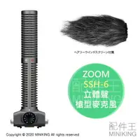 在飛比找樂天市場購物網優惠-日本代購 空運 ZOOM SSH-6 立體聲 槍型 麥克風 