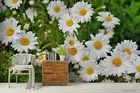 3D Spring Daisies Wallpaper Wall Mural Removable Self-adhesive 406