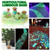 1000 Glow In The Dark Pebbles Luminous Stones Garden Walkaway Fish-NEW C99C