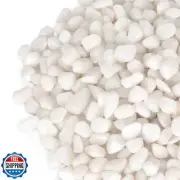 GASPRO 2.5 Pound Pebbles for Indoor Plants, 3/8" Decorative White Rocks for V