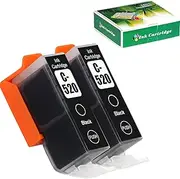 TAAUS Compatible Canon PGI-520 Ink Cartridges for PIXMA IP3600 IP4600 IP4700 MX860 MX870 MP540 MP550 MP560 MP620 MP630 MP640 MP980 MP990 Printers (2 PGBK)