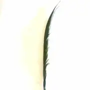 Golden Pheasant Centre Tail Feather x 10 pcs - Olive Green ((BULK PACK))