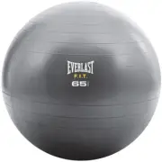 NEW Everlast 65cm Core Strength Grey Ball