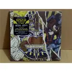 正版CD《邦喬飛》趁現在15首特別版／BON JOVI WHAT ABOUT NOW全新未拆