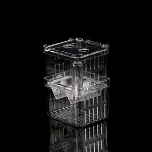 魚缸孔雀魚魚苗孵化盒透明隔離盒斗魚盒孵化器母魚繁殖產房孵化盒
