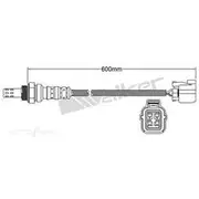 PAT Oxygen/Lambda Sensor Post Catalytic Converter - EGO-739