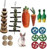 16Pcs Bunny Chew Toy, Rabbits Cage Hanging Chew Toys and Rattan for Guinea Pigs Chinchillas Hamsters Rats and Other Small Pets Teeth Grinding