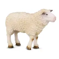 在飛比找momo購物網優惠-【collectA】動物系列-綿羊(88008)
