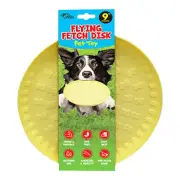 Flying Fetch Disk Pet Toy, 9"