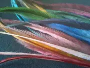 Emu Feathers-200pcs DIY Craft Supplies Jewellery Findings Hat Making Fly Fishing