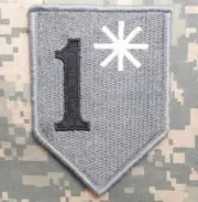 VELCRO® BRAND Fastener Morale HOOK PATCH Asterisk Gray Black # Lettering 2.75"
