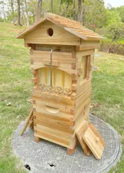 Mini Auto Beehive Honey House Beekeeping +4x Auto Flowing Honey Hive Frames +6 X Brood Box Frames