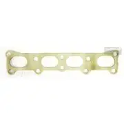 Platinum Extractor Gasket - HSM347